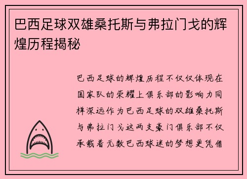 巴西足球双雄桑托斯与弗拉门戈的辉煌历程揭秘 巴西足球双雄桑托斯与弗拉门戈的辉煌历程揭秘